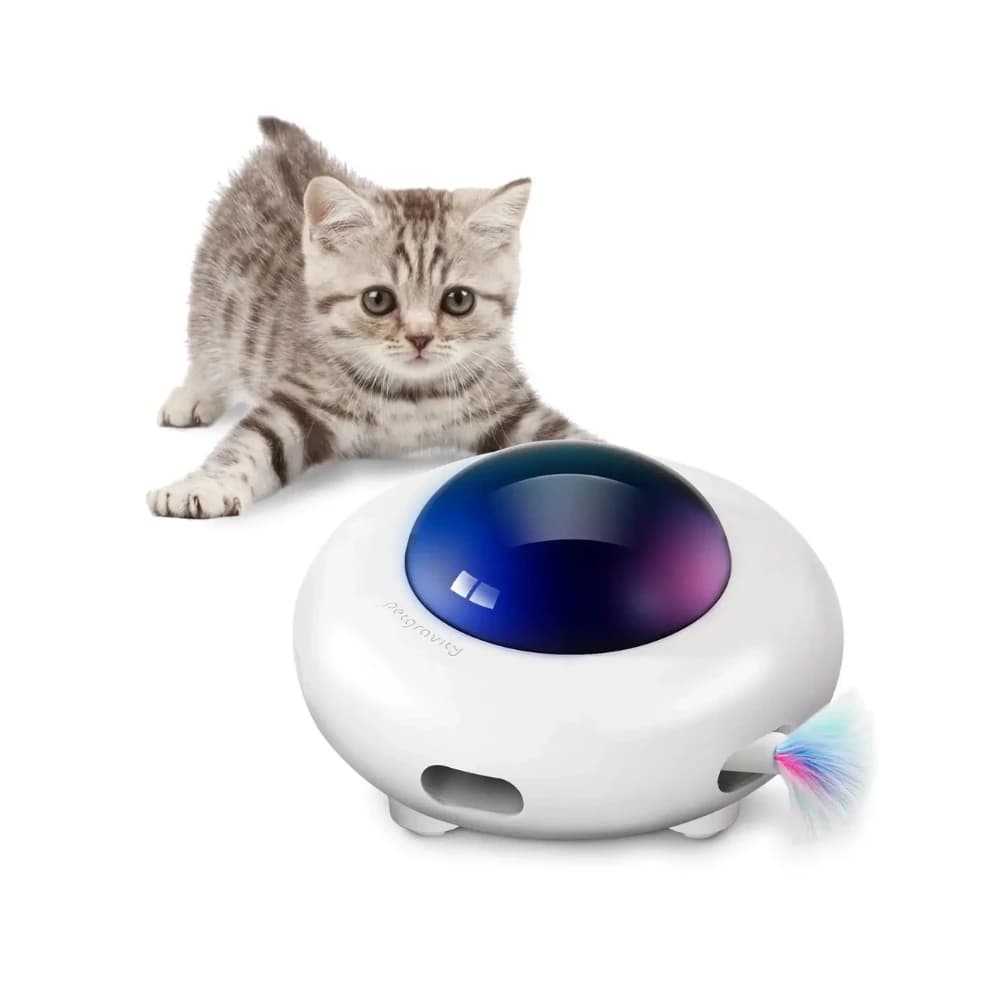 Kedi Oyuncakları